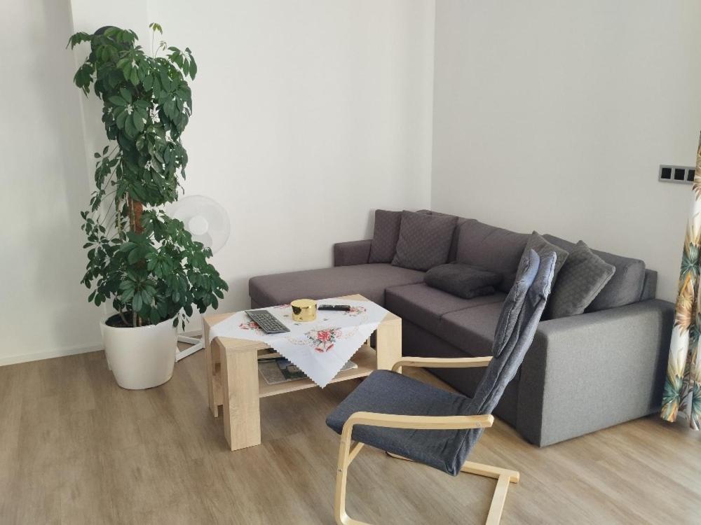 Apartman Dasa Фримбурк Екстер'єр фото